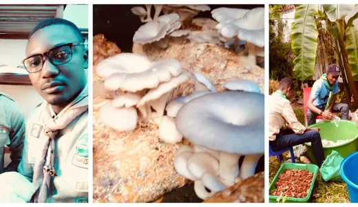 Scouts drive youth-led solutions for positive change in DR Congo! 