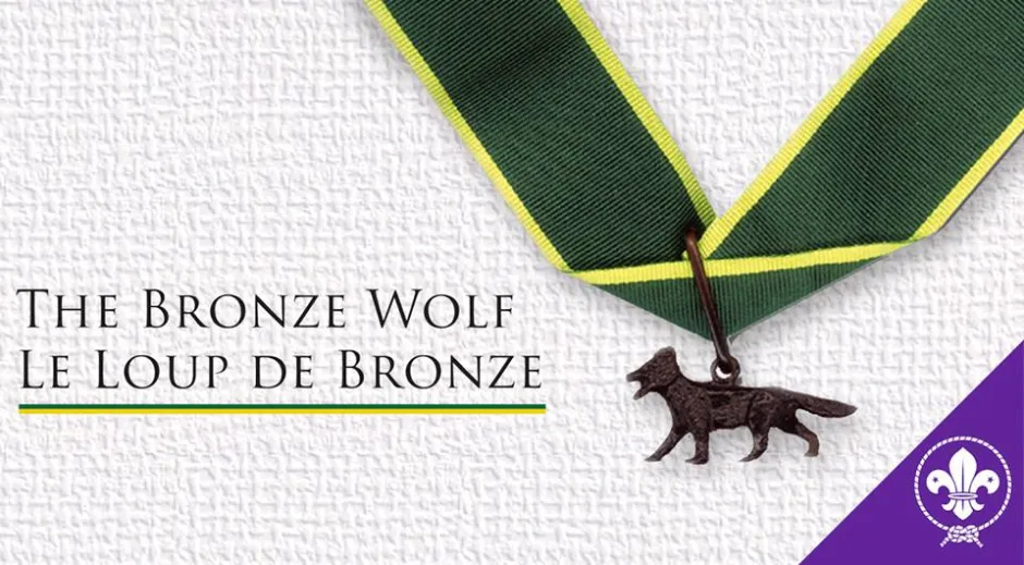 Bronze Wolf