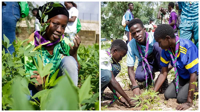 Scouts from the Dakar area, Senegal