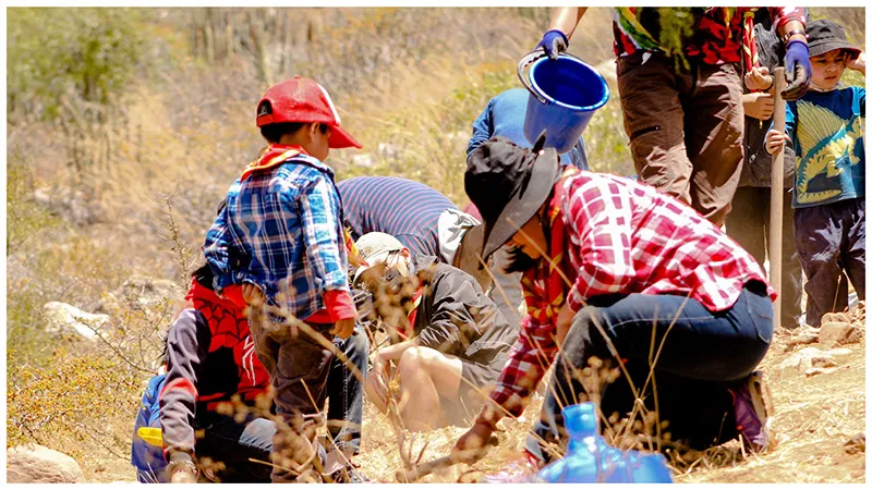 2022 Annual report: Together