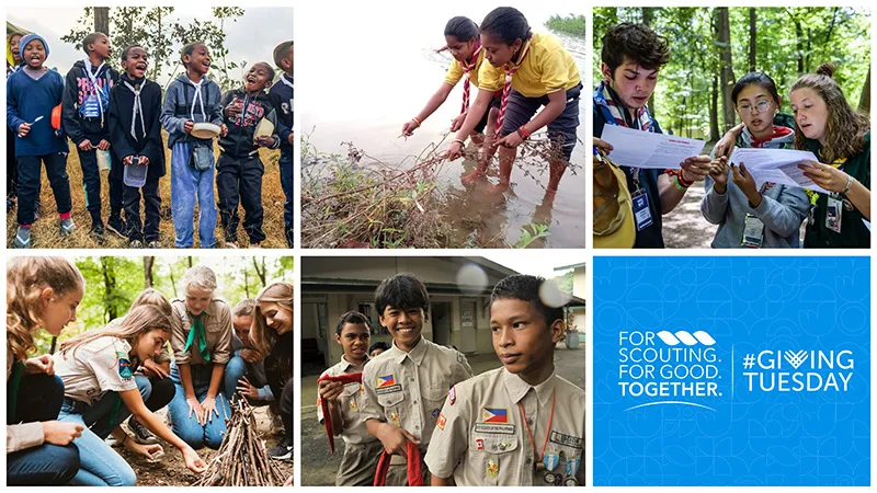 WSF Successful 2023 Annual Appeal