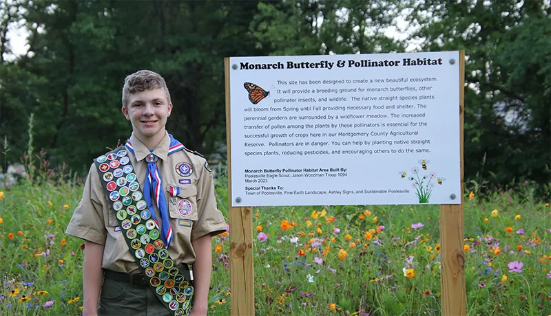 WSF Annual Report 2024