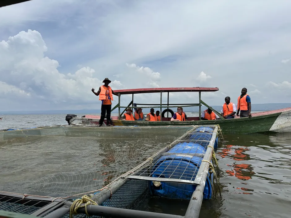 WSF Annual Report 2024